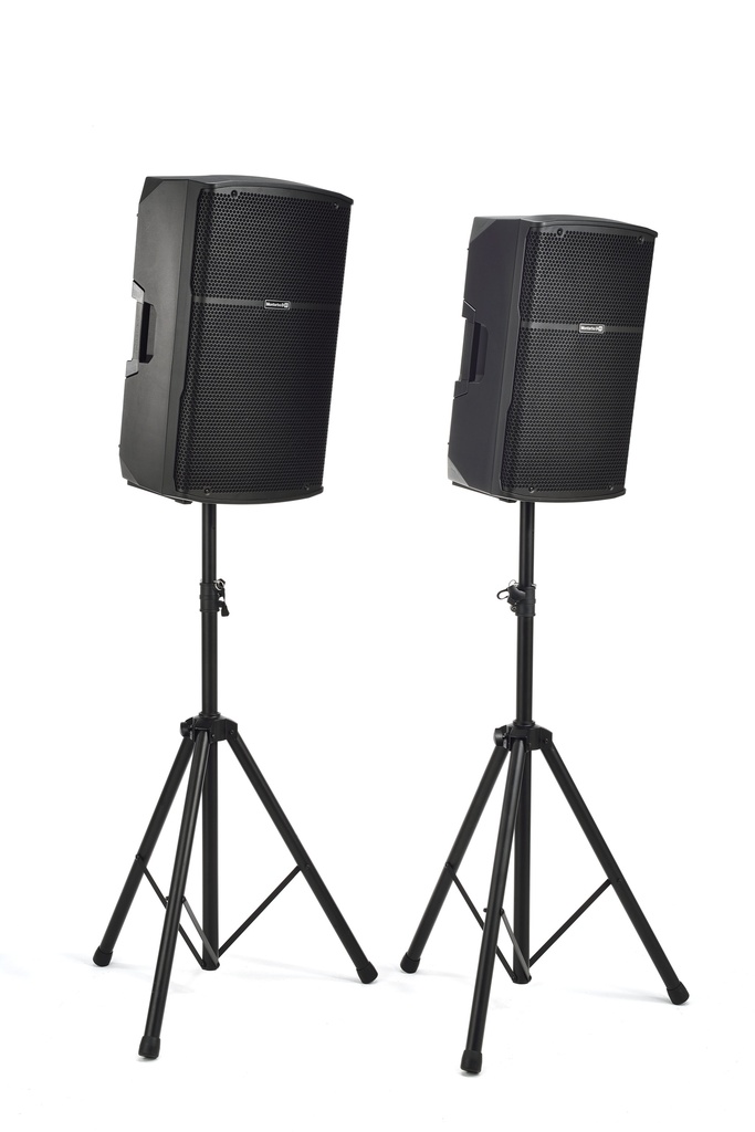MONTARBO B115 - Enceinte ABS