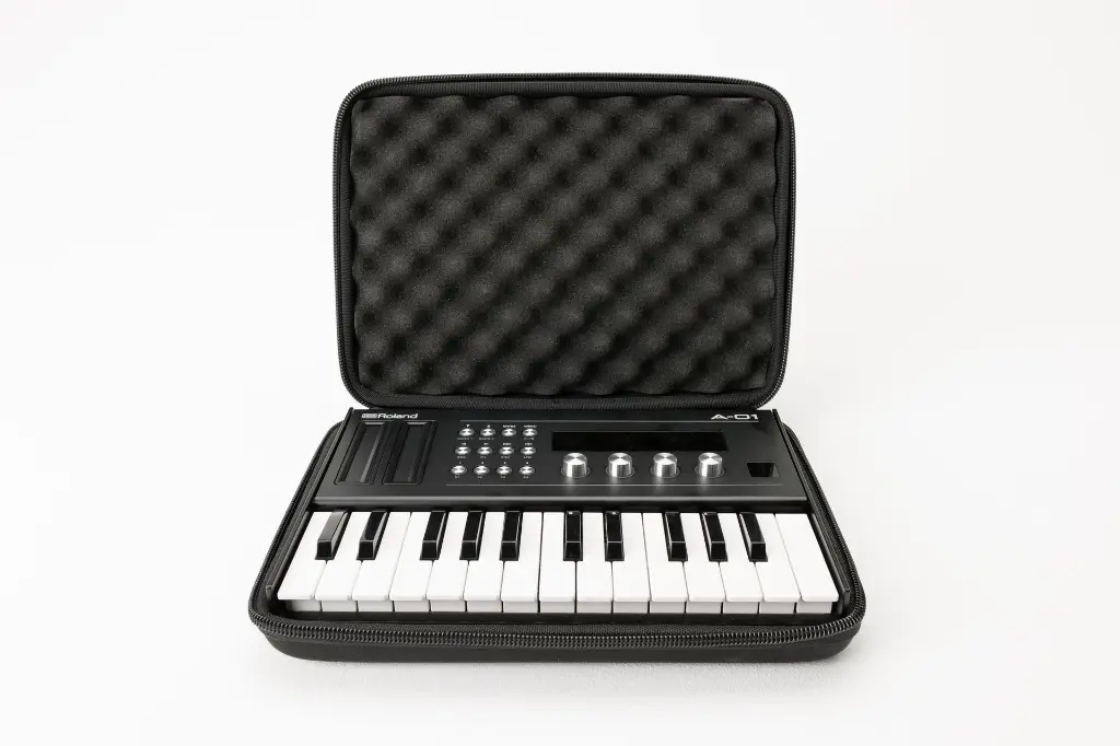 Roland-A-01.webp