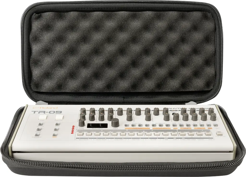 ROLAND-TR-09.webp