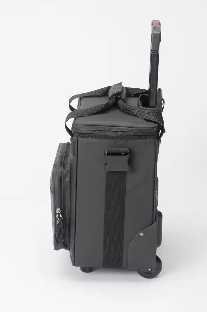side view.webp